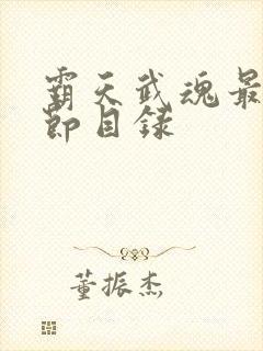 霸天武魂最新章节目录