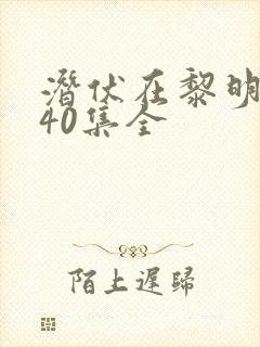 潜伏在黎明之前40集全