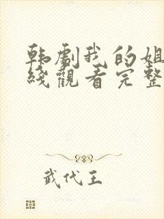 韩剧我的姐姐在线观看完整版封面