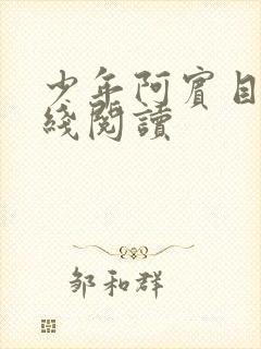 少年阿宾目录在线阅读