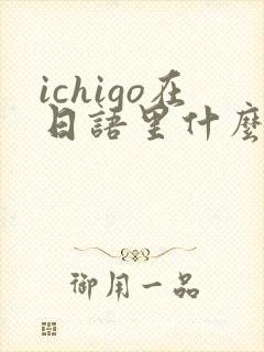 ichigo在日语里什么意思