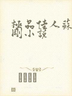 极品佳人苏柔赵刚小说