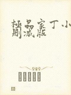 极品家丁小说无删减版