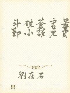 斗破苍穹最新章节小说免费阅读