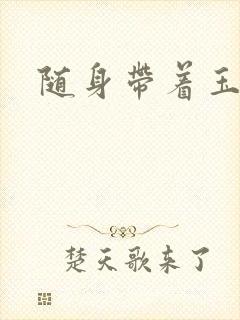 随身带着玉如意封面