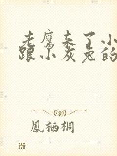 老鹰来了小白兔跟小灰兔的故事