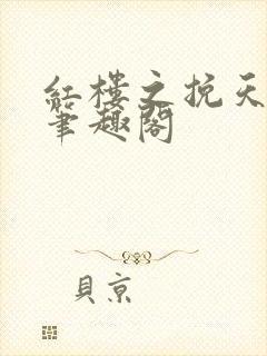 红楼之挽天倾 笔趣阁