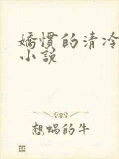 娇惯的清冷美人小说