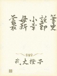 套母小说笔趣阁最新章节更新时间封面