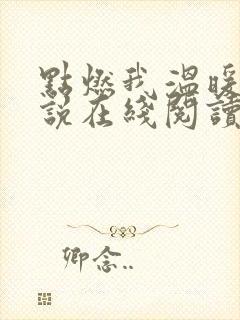 点燃我温暖你小说在线阅读