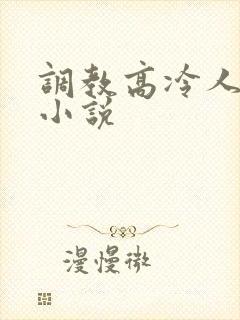 调教高冷人妻的小说