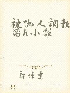 被仇人调教成禁脔h小说