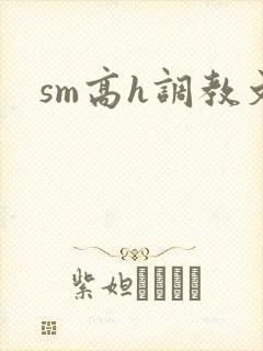 sm高h调教文封面