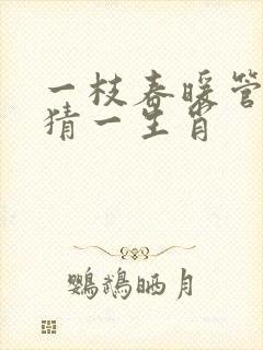 一枝春暖管城花猜一生肖封面
