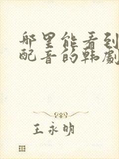 哪里能看到国语配音的韩剧