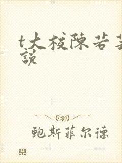 t大校陈若芸小说