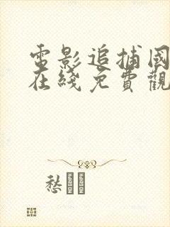 电影追捕国语版在线免费观看