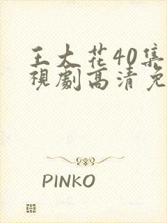 王大花40集电视剧高清免费观看