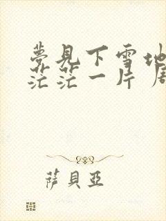 梦见下雪地上白茫茫一片 周公解梦封面