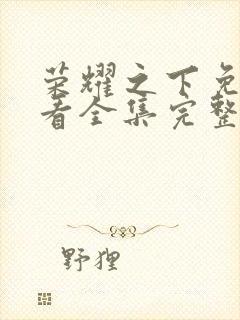 荣耀之下免费观看全集完整版