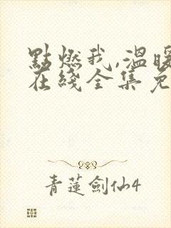 点燃我,温暖你在线全集免费观看电视剧