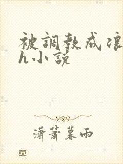 被调教成浪货高h小说