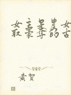 女主是农女被强取豪夺的古言