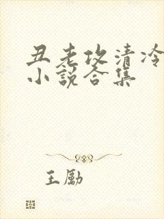 丑老攻清冷美人小说合集