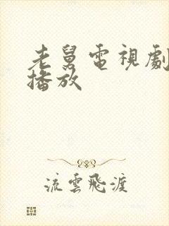 老舅电视剧免费播放