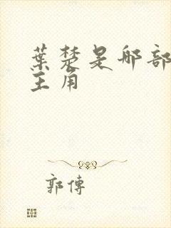 叶楚是哪部小说主角