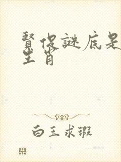 贤促谜底是什么生肖