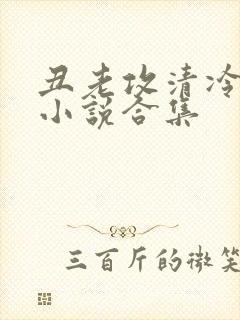 丑老攻清冷美人小说合集