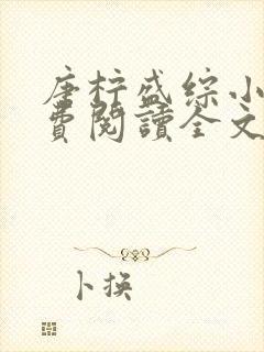 唐柠盛综小说免费阅读全文最新章节