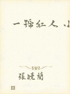 一号红人 小说