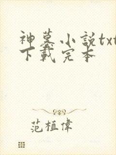 神墓小说txt下载完本