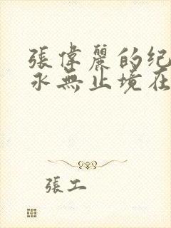 张伟丽的纪录片永无止境在线观看封面