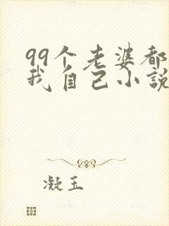 99个老婆都是我自己小说免费阅读