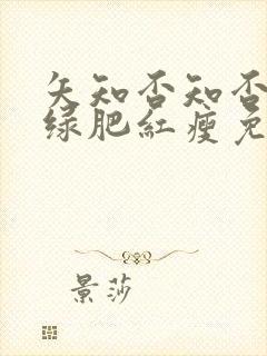 矢知否知否应是绿肥红瘦免费观看全集