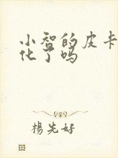 小智的皮卡丘进化了吗