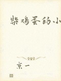 柴鸡蛋的小说封面