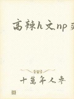 高辣h文np爽