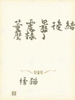 董震最后结局怎么样了封面