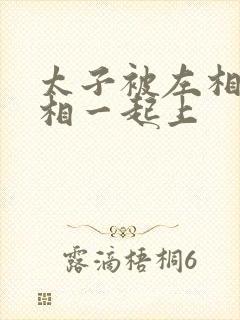 太子被左相和右相一起上封面