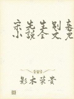 宋先生别来无恙小说全文免费阅读