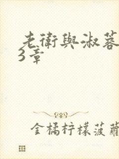 老卫与淑蓉第13章