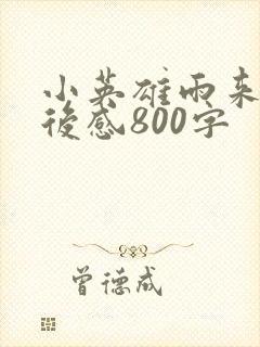 小英雄雨来的读后感800字