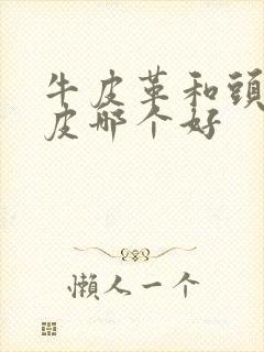 牛皮革和头层牛皮哪个好