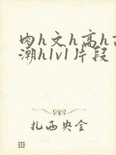 肉h文h高h高潮h1v1片段