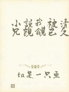 小说我被清冷师兄觊觎已久小说