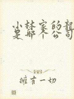 小林家的龙女仆是哪个公司出品的